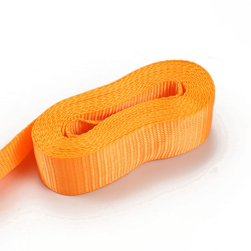 2Inch Cam Buckle Belt Tie Down Strapst